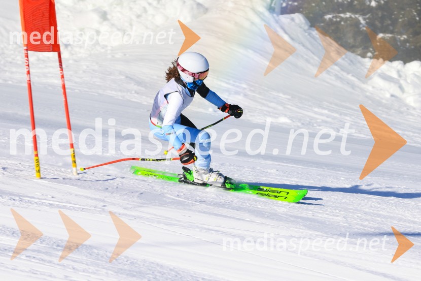 Prva tekma v smučanju Vzhodna regija U10-U12 Veleslalom 2026