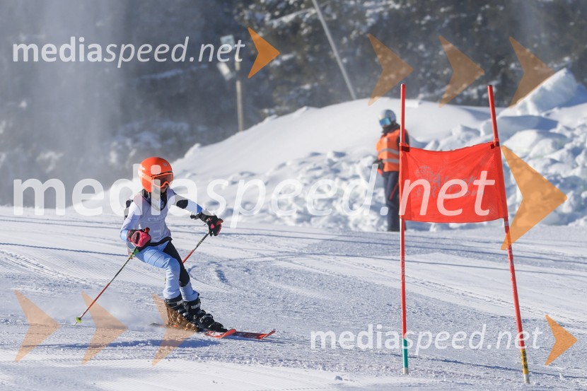 Prva tekma v smučanju Vzhodna regija U10-U12 Veleslalom 2026