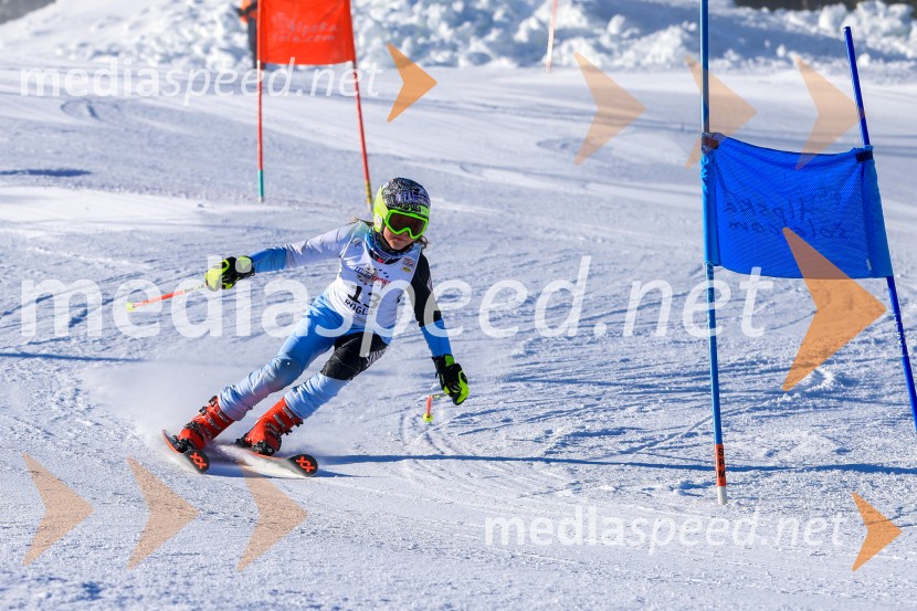 Prva tekma v smučanju Vzhodna regija U10-U12 Veleslalom 2026