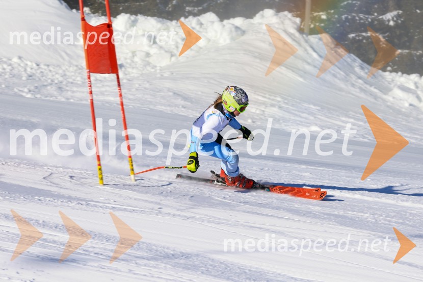 Prva tekma v smučanju Vzhodna regija U10-U12 Veleslalom 2026