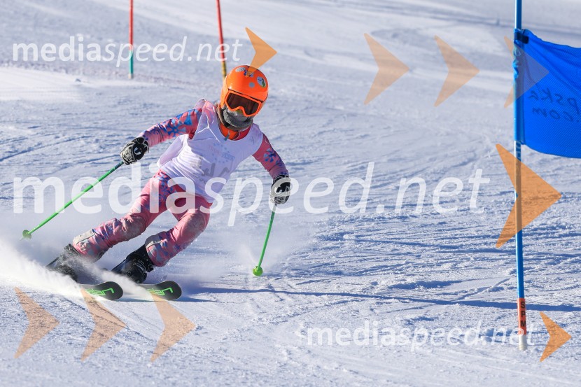 Prva tekma v smučanju Vzhodna regija U10-U12 Veleslalom 2026