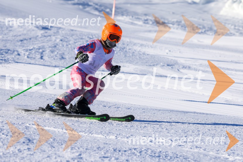 Prva tekma v smučanju Vzhodna regija U10-U12 Veleslalom 2026