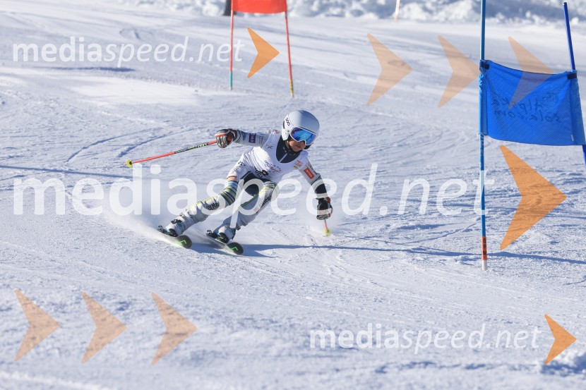Prva tekma v smučanju Vzhodna regija U10-U12 Veleslalom 2026