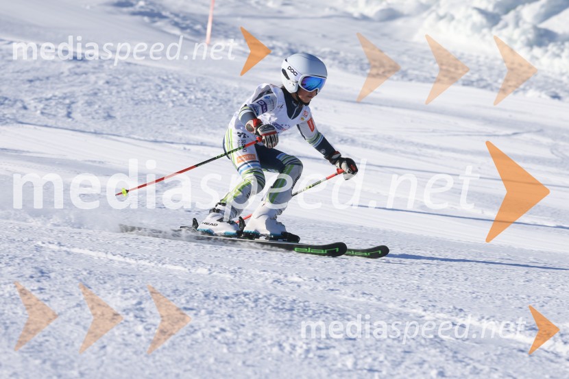 Prva tekma v smučanju Vzhodna regija U10-U12 Veleslalom 2026