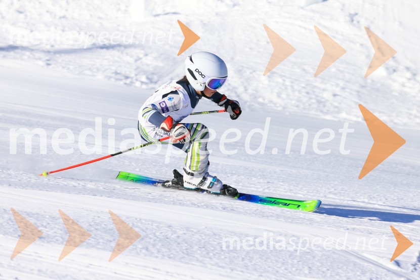 Prva tekma v smučanju Vzhodna regija U10-U12 Veleslalom 2026