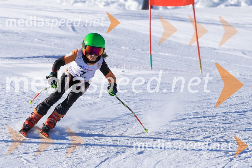 Prva tekma v smučanju Vzhodna regija U10-U12 Veleslalom 2026