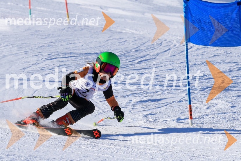 Prva tekma v smučanju Vzhodna regija U10-U12 Veleslalom 2026