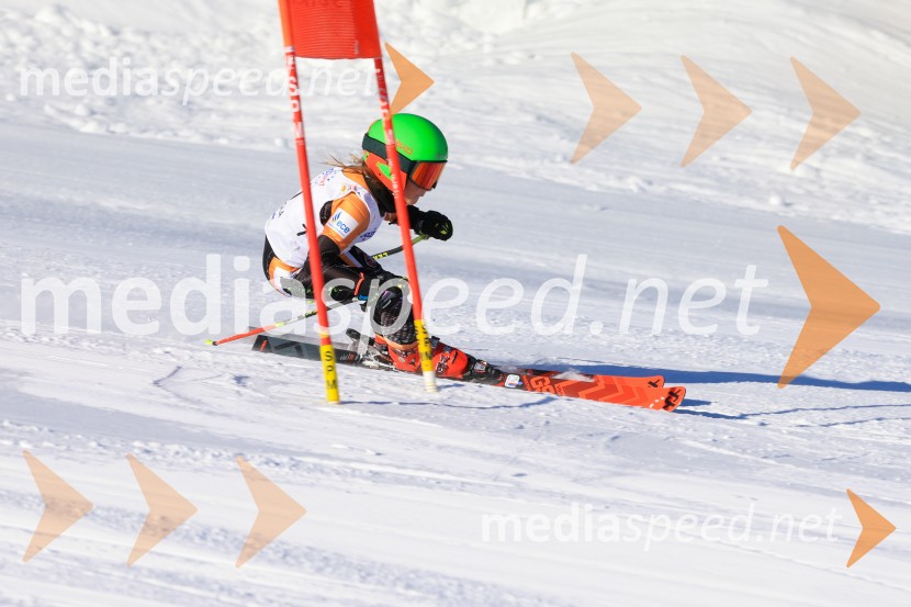 Prva tekma v smučanju Vzhodna regija U10-U12 Veleslalom 2026