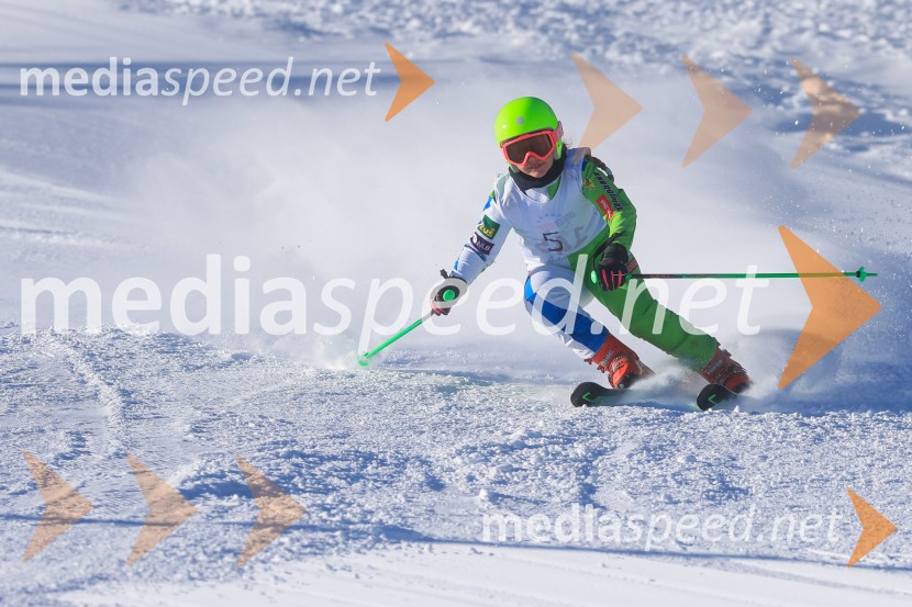Prva tekma v smučanju Vzhodna regija U10-U12 Veleslalom 2026