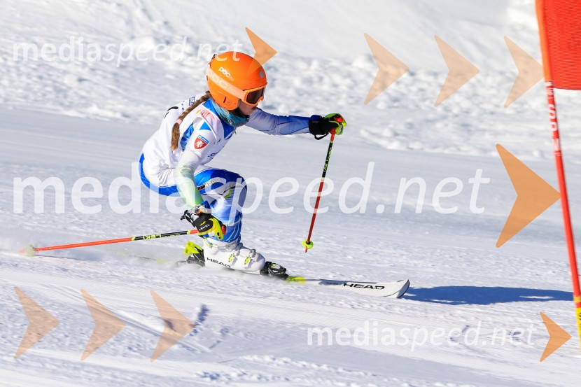 Prva tekma v smučanju Vzhodna regija U10-U12 Veleslalom 2026