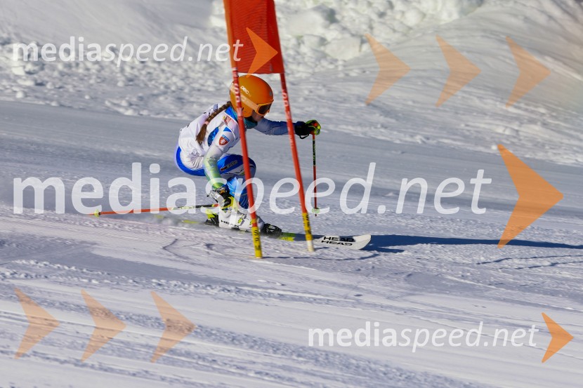 Prva tekma v smučanju Vzhodna regija U10-U12 Veleslalom 2026