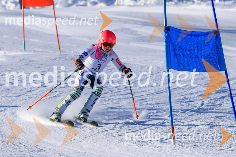Prva tekma v smučanju Vzhodna regija U10-U12 Veleslalom 2026