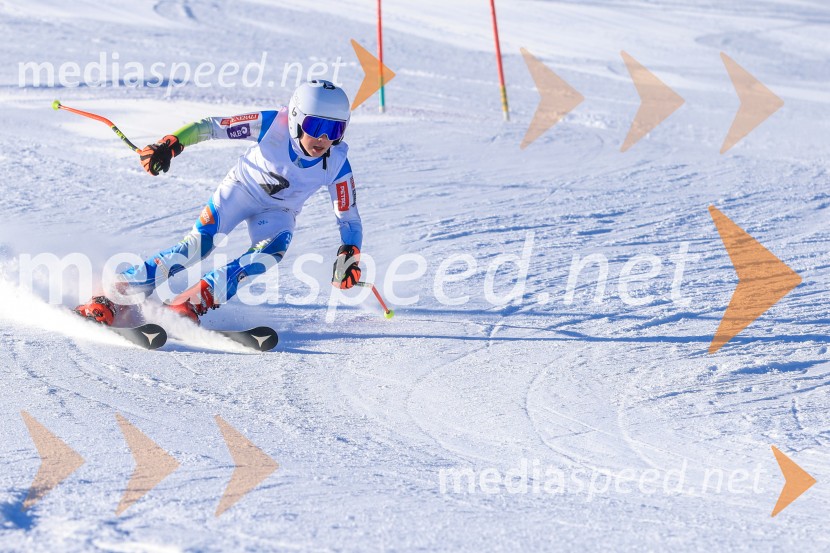 Prva tekma v smučanju Vzhodna regija U10-U12 Veleslalom 2026