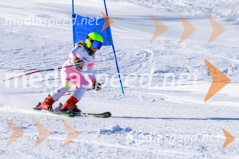 Prva tekma v smučanju Vzhodna regija U10-U12 Veleslalom 2026