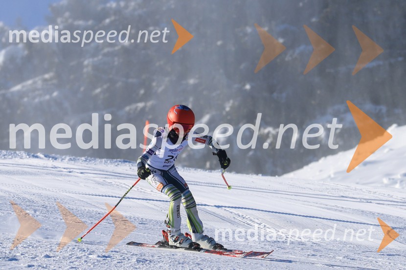 Prva tekma v smučanju Vzhodna regija U10-U12 Veleslalom 2026