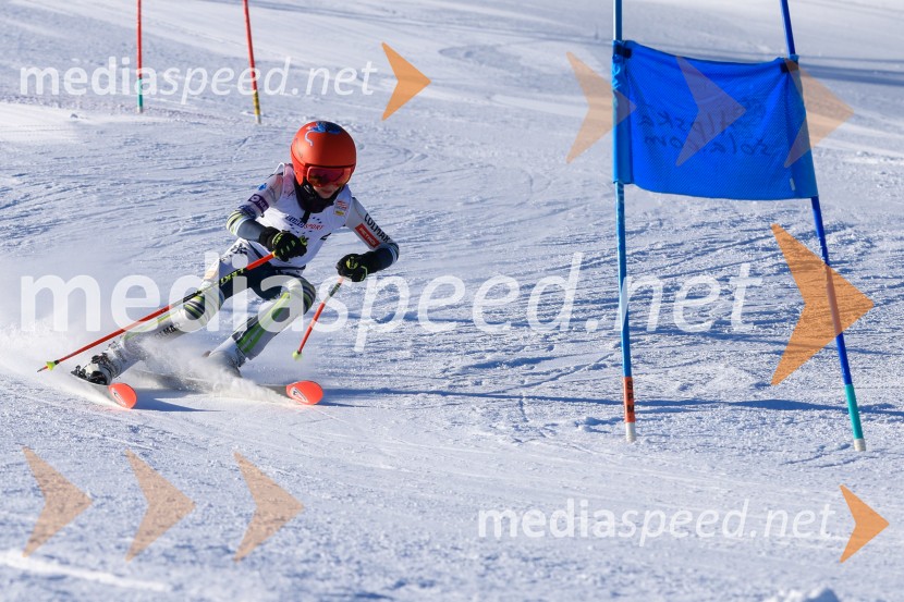 Prva tekma v smučanju Vzhodna regija U10-U12 Veleslalom 2026