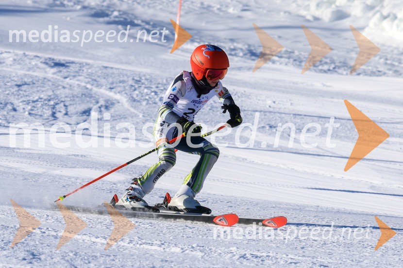 Prva tekma v smučanju Vzhodna regija U10-U12 Veleslalom 2026