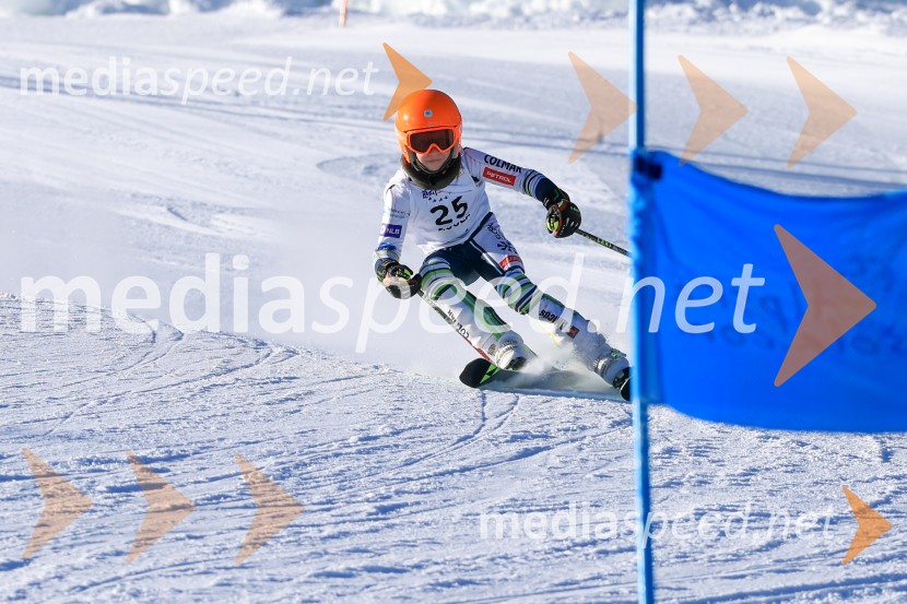 Prva tekma v smučanju Vzhodna regija U10-U12 Veleslalom 2026