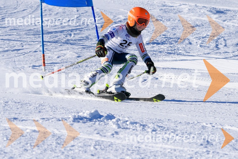 Prva tekma v smučanju Vzhodna regija U10-U12 Veleslalom 2026