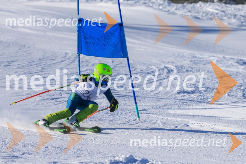 Prva tekma v smučanju Vzhodna regija U10-U12 Veleslalom 2026