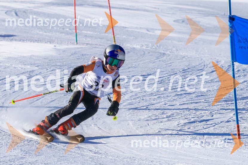 Prva tekma v smučanju Vzhodna regija U10-U12 Veleslalom 2026