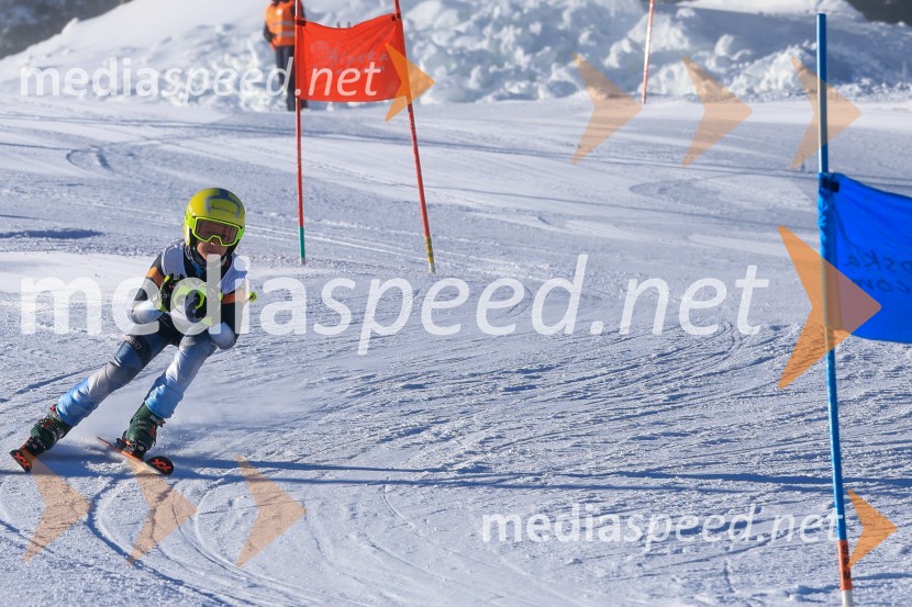 Prva tekma v smučanju Vzhodna regija U10-U12 Veleslalom 2026