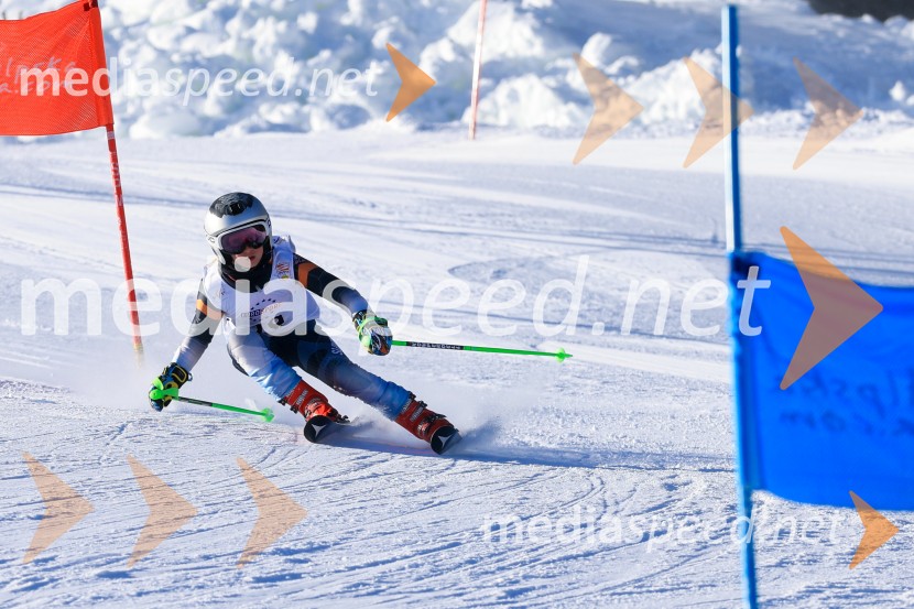 Prva tekma v smučanju Vzhodna regija U10-U12 Veleslalom 2026