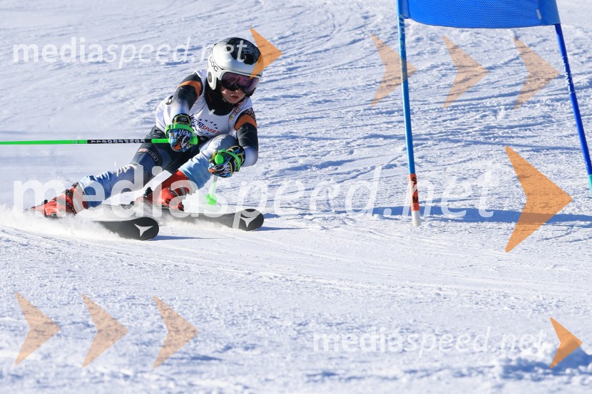 Prva tekma v smučanju Vzhodna regija U10-U12 Veleslalom 2026