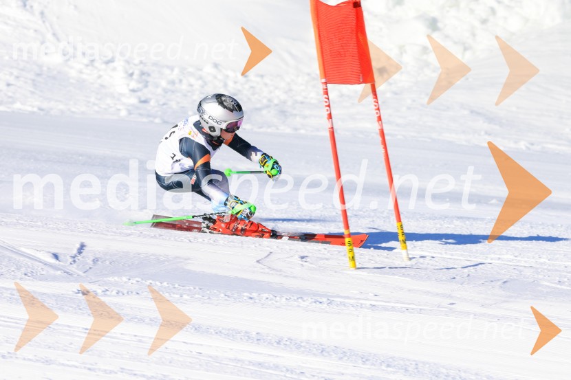 Prva tekma v smučanju Vzhodna regija U10-U12 Veleslalom 2026