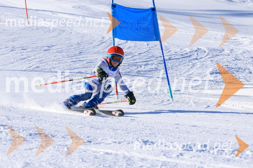 Prva tekma v smučanju Vzhodna regija U10-U12 Veleslalom 2026