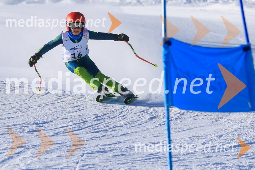 Prva tekma v smučanju Vzhodna regija U10-U12 Veleslalom 2026