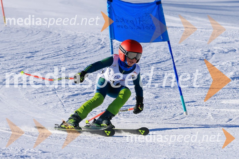 Prva tekma v smučanju Vzhodna regija U10-U12 Veleslalom 2026