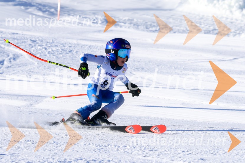 Prva tekma v smučanju Vzhodna regija U10-U12 Veleslalom 2026