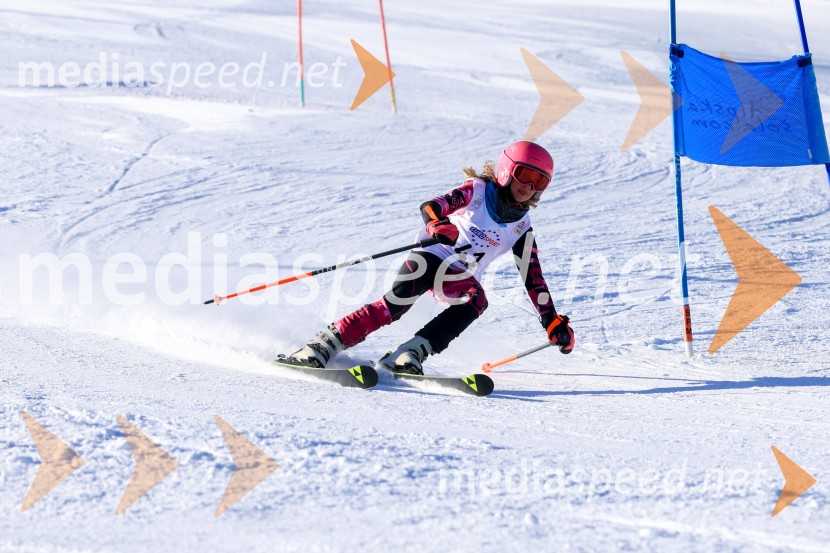 Prva tekma v smučanju Vzhodna regija U10-U12 Veleslalom 2026