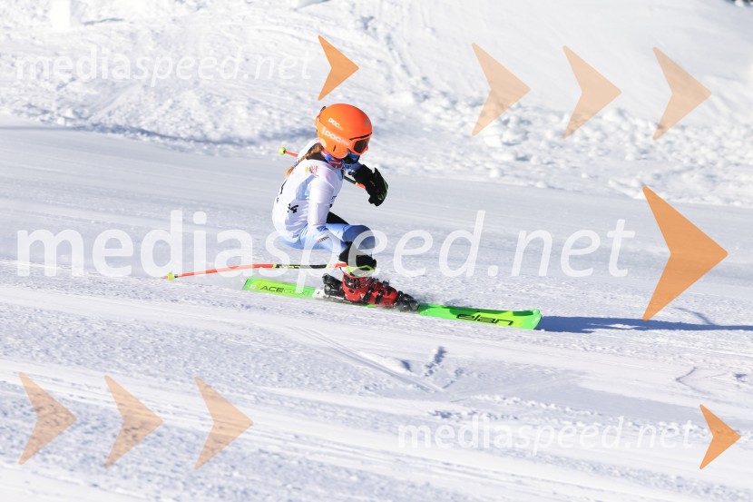 Prva tekma v smučanju Vzhodna regija U10-U12 Veleslalom 2026