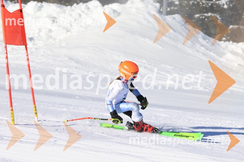 Prva tekma v smučanju Vzhodna regija U10-U12 Veleslalom 2026