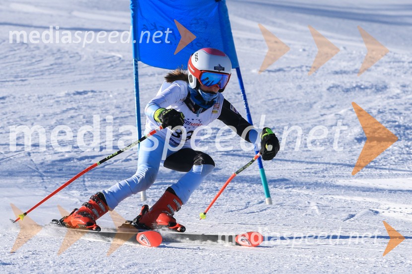 Prva tekma v smučanju Vzhodna regija U10-U12 Veleslalom 2026