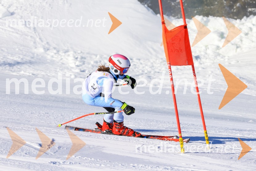 Prva tekma v smučanju Vzhodna regija U10-U12 Veleslalom 2026
