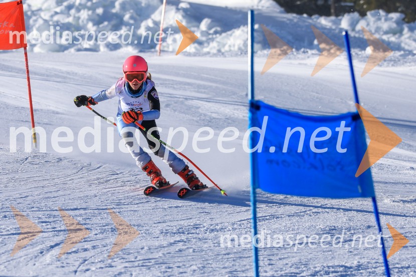 Prva tekma v smučanju Vzhodna regija U10-U12 Veleslalom 2026