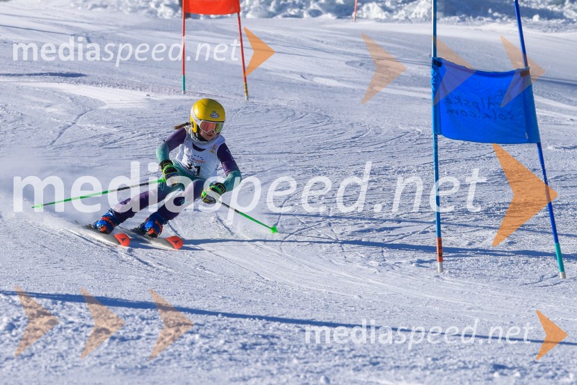 Prva tekma v smučanju Vzhodna regija U10-U12 Veleslalom 2026