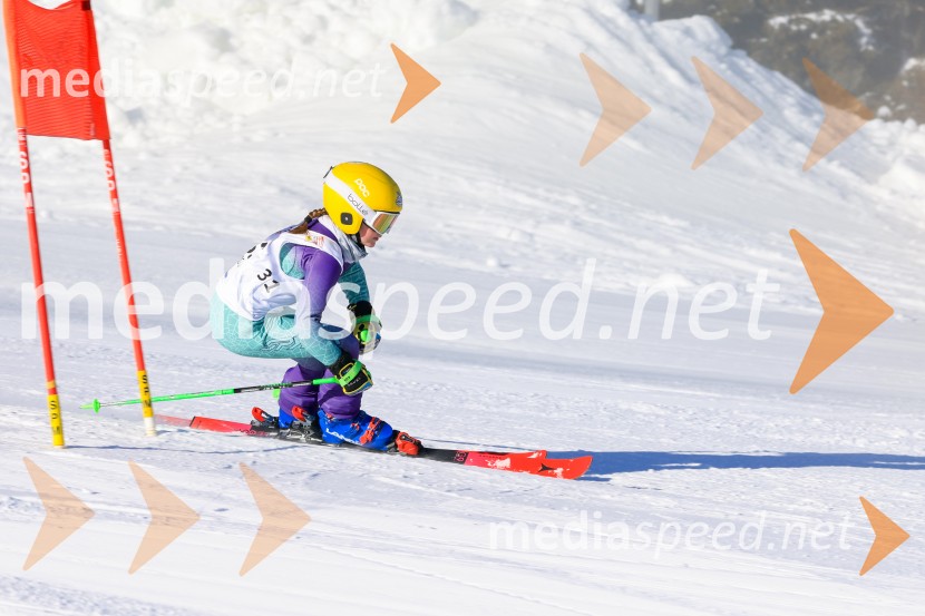 Prva tekma v smučanju Vzhodna regija U10-U12 Veleslalom 2026