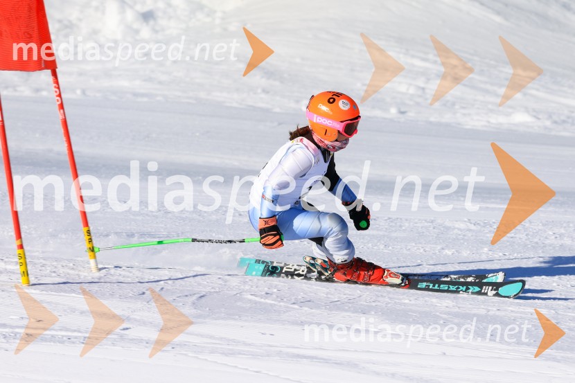 Prva tekma v smučanju Vzhodna regija U10-U12 Veleslalom 2026