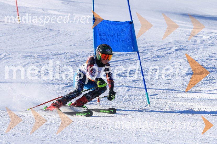 Prva tekma v smučanju Vzhodna regija U10-U12 Veleslalom 2026