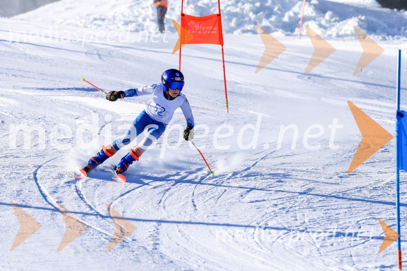 Prva tekma v smučanju Vzhodna regija U10-U12 Veleslalom 2026