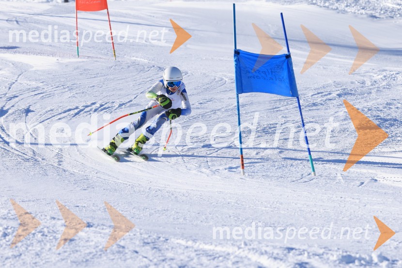Prva tekma v smučanju Vzhodna regija U10-U12 Veleslalom 2026