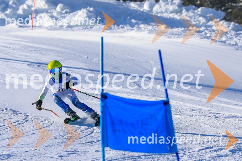 Prva tekma v smučanju Vzhodna regija U10-U12 Veleslalom 2026