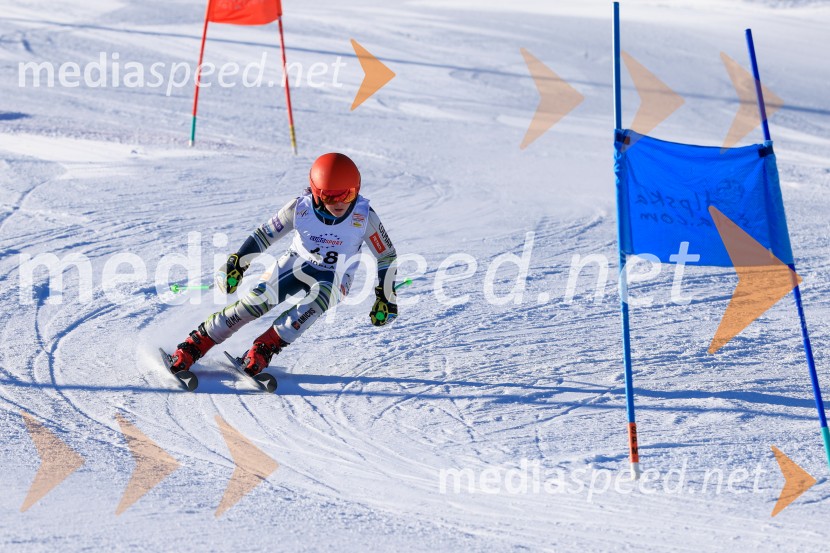 Prva tekma v smučanju Vzhodna regija U10-U12 Veleslalom 2026