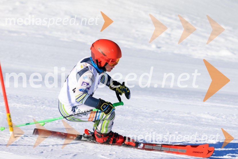 Prva tekma v smučanju Vzhodna regija U10-U12 Veleslalom 2026