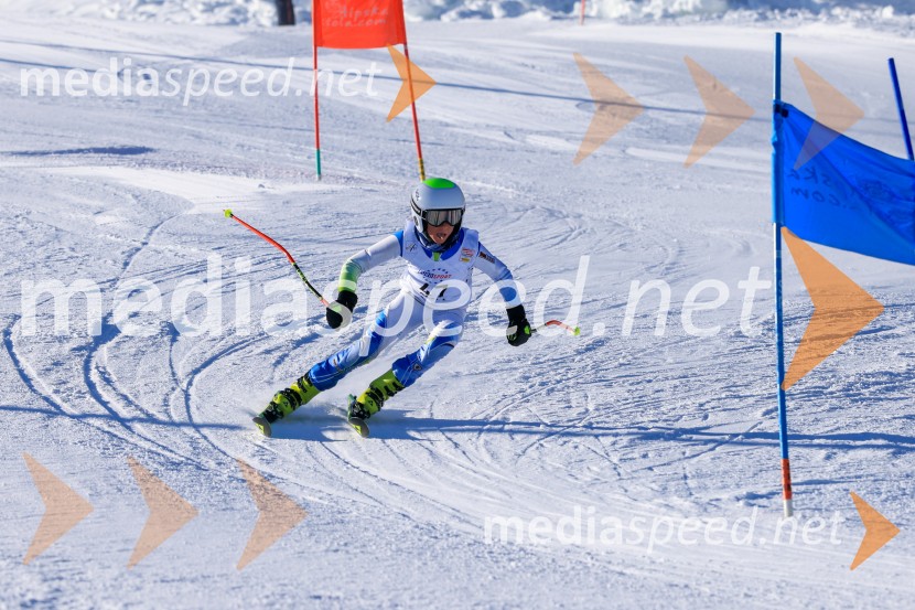 Prva tekma v smučanju Vzhodna regija U10-U12 Veleslalom 2026