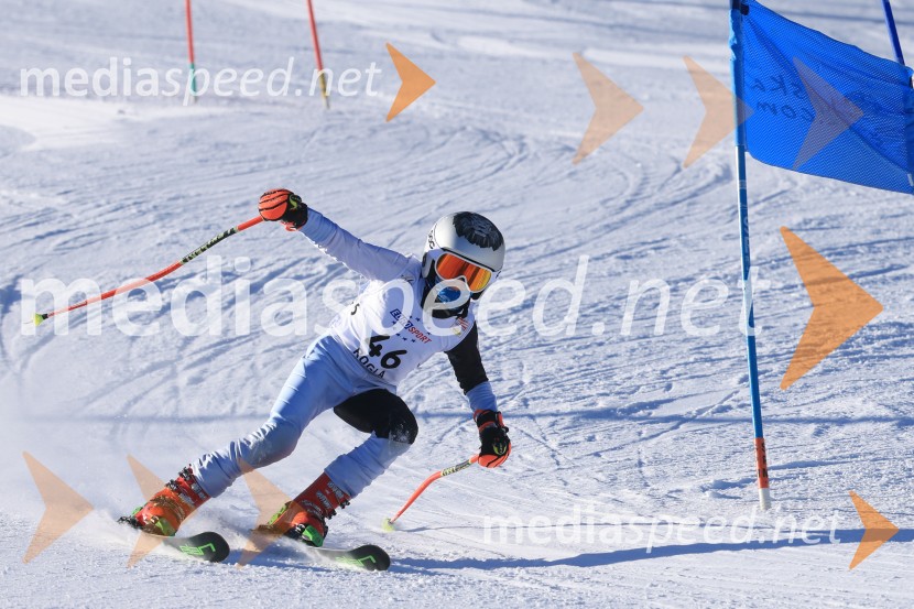 Prva tekma v smučanju Vzhodna regija U10-U12 Veleslalom 2026
